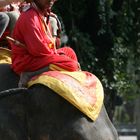 Ceremonial elephant