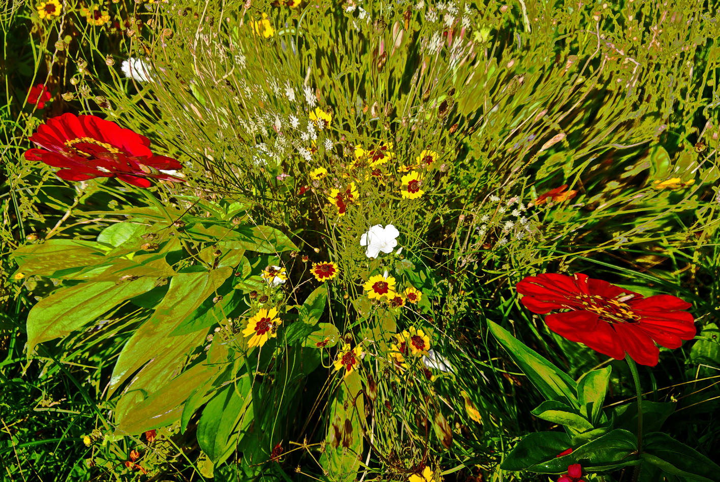 Cérémonie des fleurs...