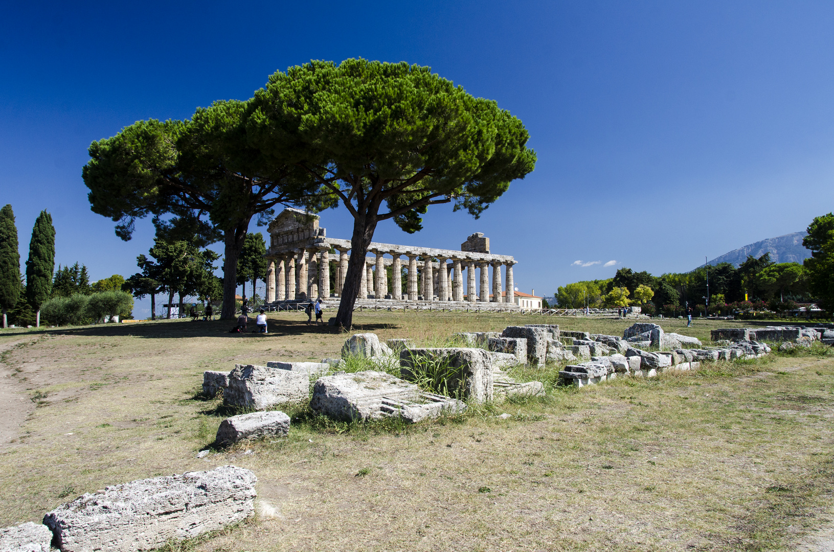 Ceres-Tempel in Paestum 02