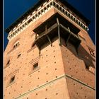 Cereseto Monferrato - La torre del castello