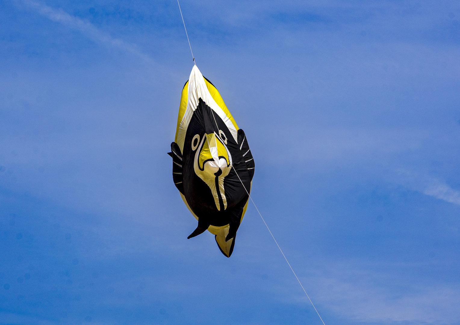 Cerf-volant #1