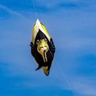 Cerf-volant #1