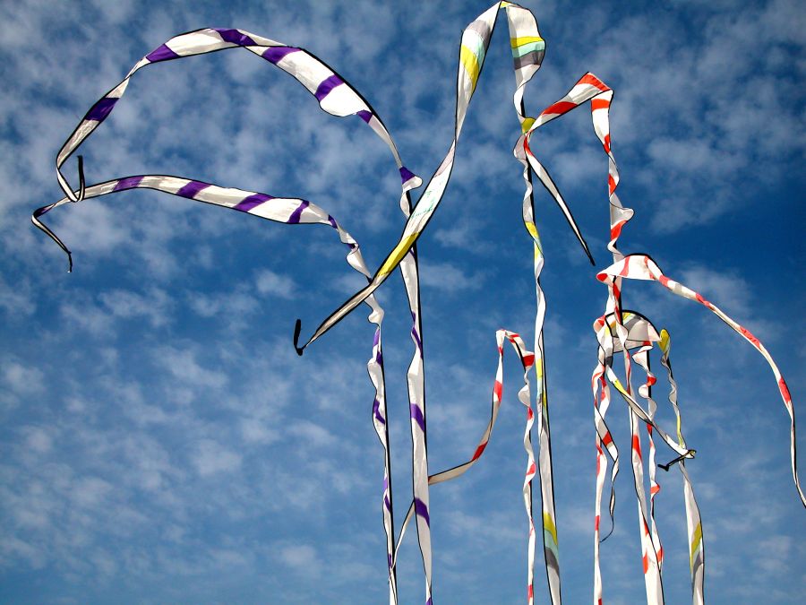 cerf volant, berck