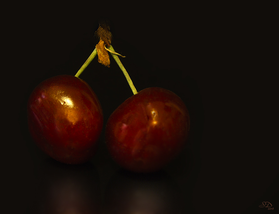 Cerises 