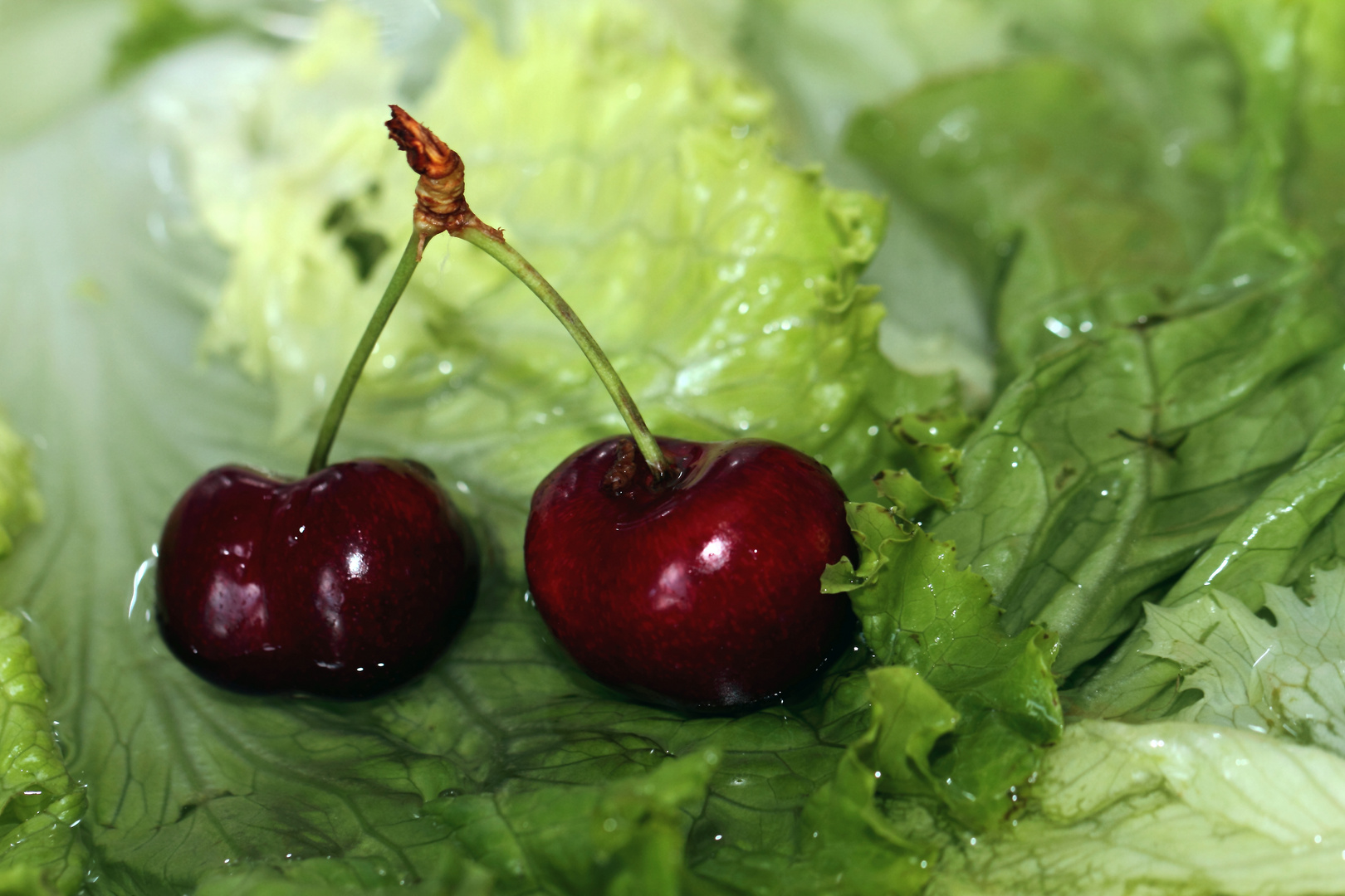 cerises sur feuilles de salade