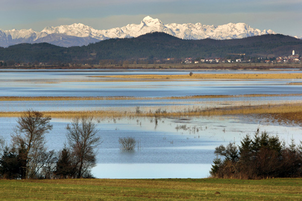 Cerknica lake 1