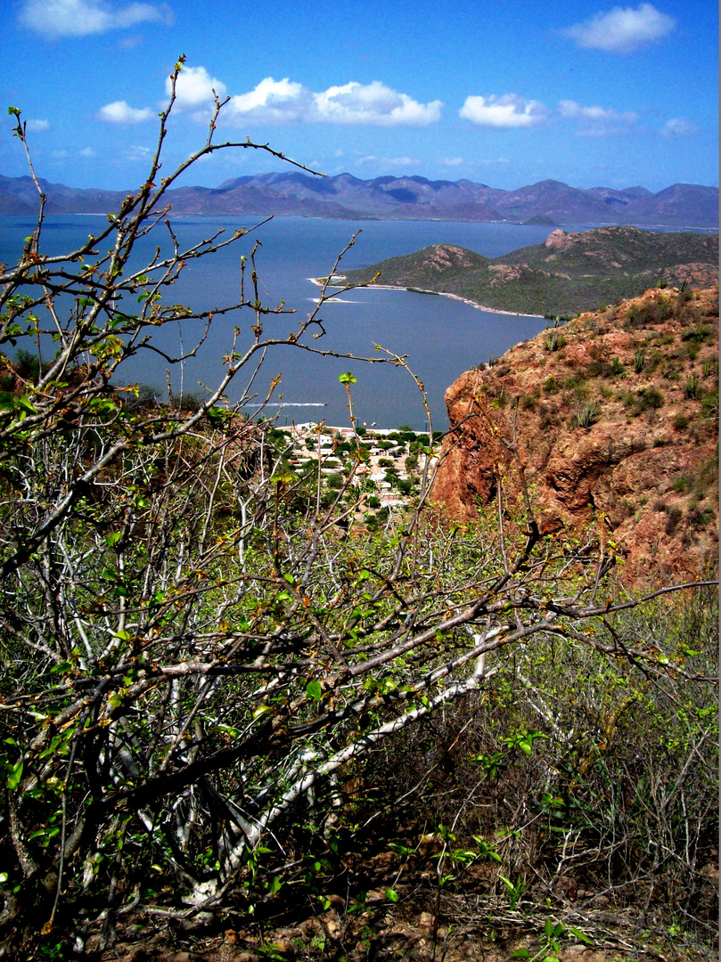 Cerro Cabezón y la Bahía de Navachiste.