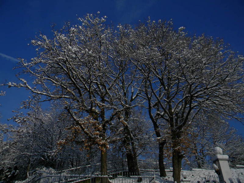 cerro d'inverno