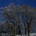 cerro d'inverno