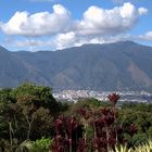 Cerro El Avila, Caracas, Venezuela