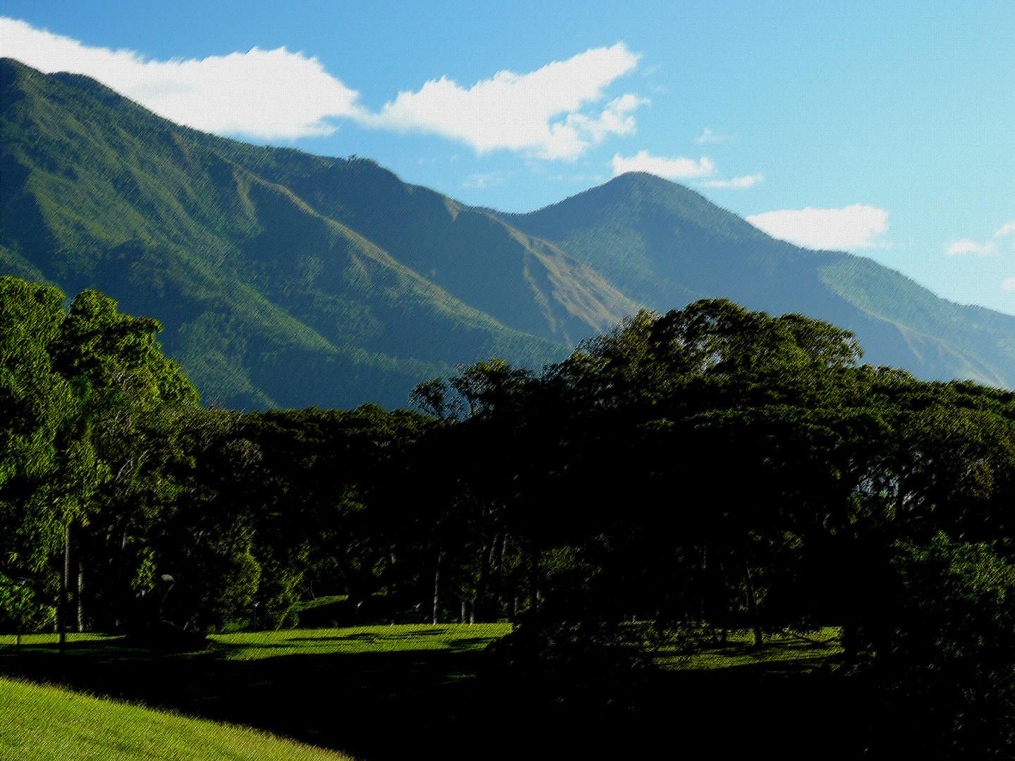 Cerro El Avila o Parque Nac. Guaraira-repano, Caracas, Venezuela