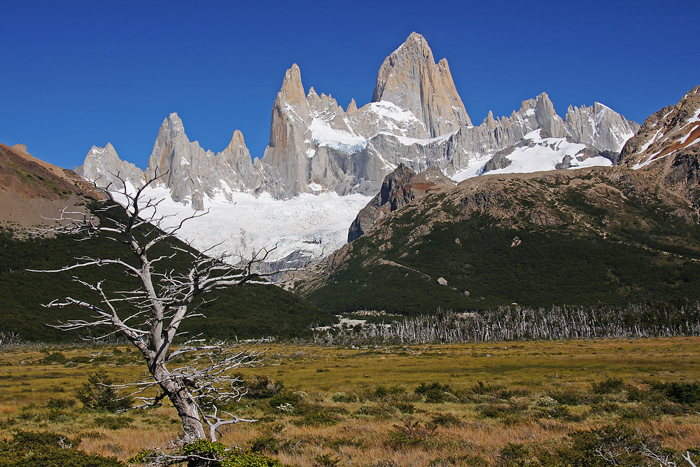 Cerro FITZ ROY