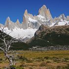 Cerro FITZ ROY