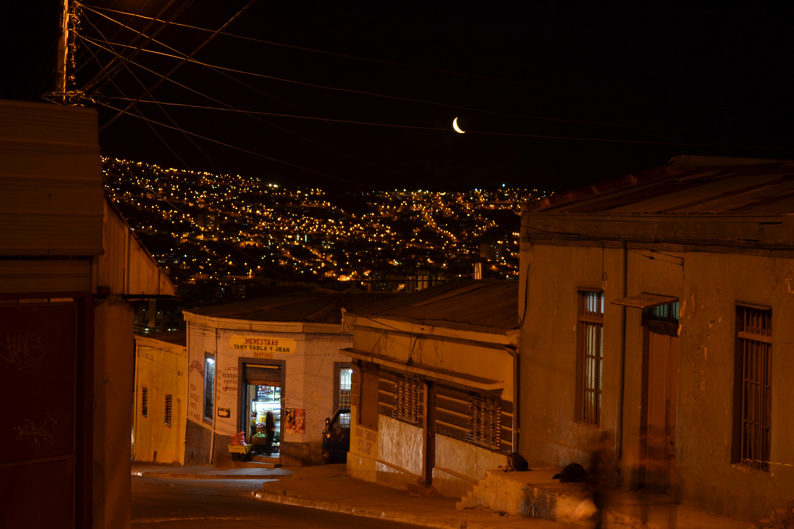 Cerro Larrain, Valparaiso