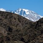 Cerro Rincón (5364 m/s/n/m) 