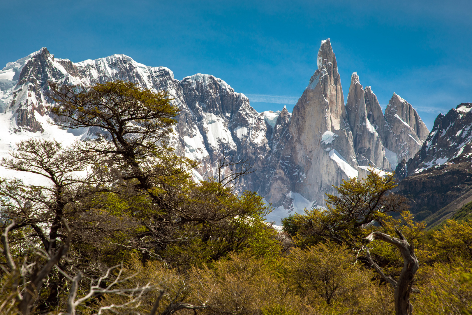 Cerro Torre Foto & Bild south america, landschaft, naturpanorama
