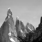 Cerro Torre