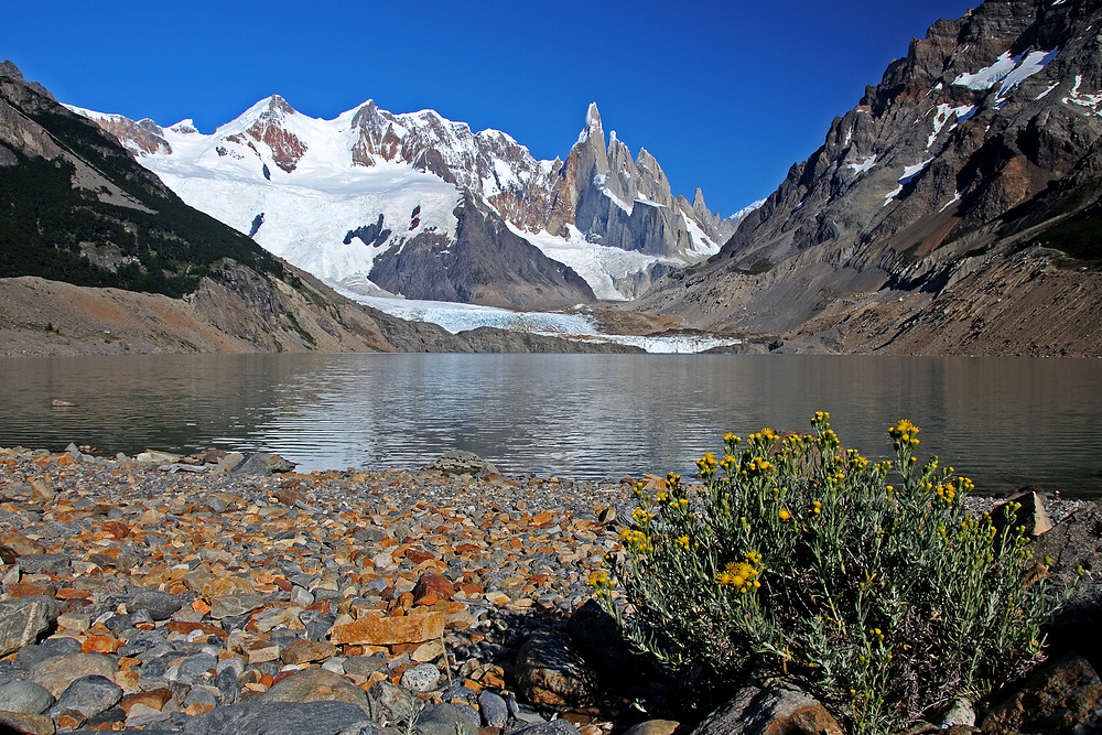 CERRO TORRE