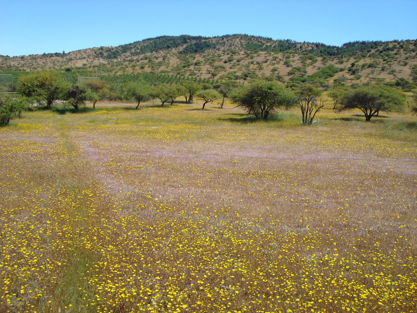 Cerros de Alcones