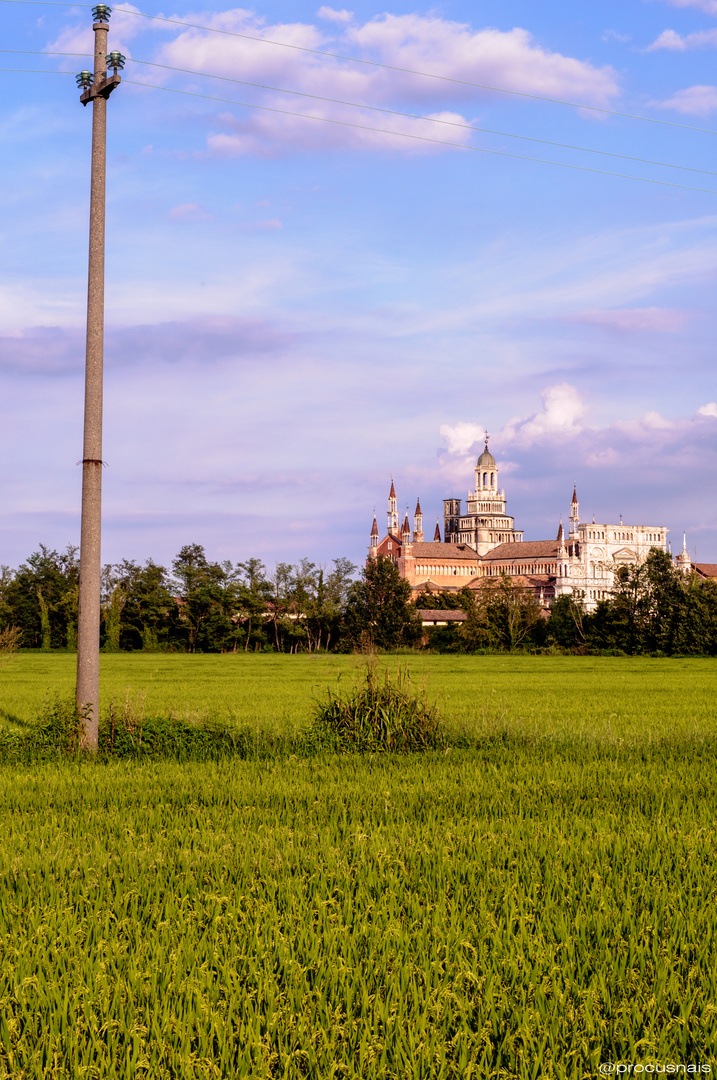 Certosa di Pavia