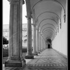 certosa san martino ( napoli) bianco e nero