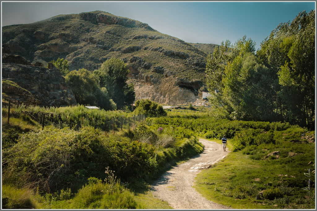 Cerverana IV: Camino al Coche...