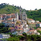 Cervo