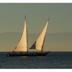 ces  merveilleuses barques du Léman