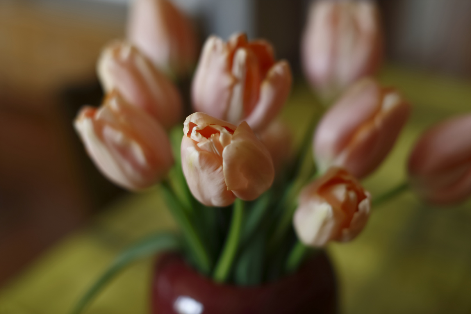 ces tulipes me font penser.....