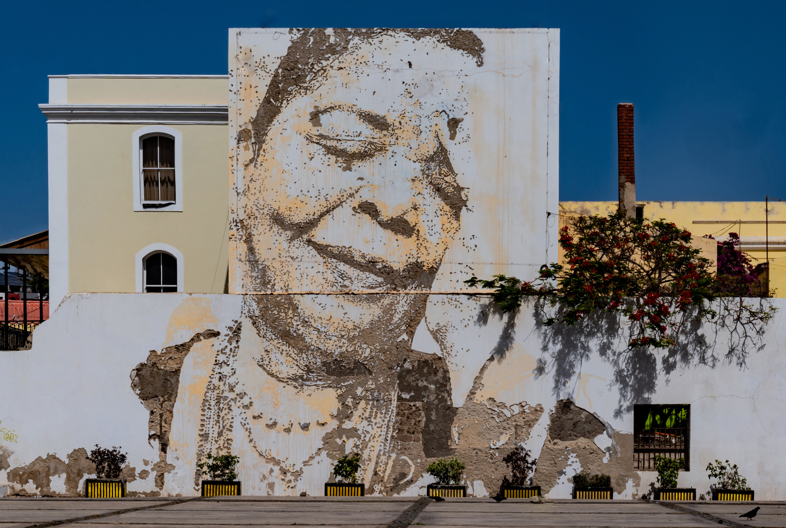 Cesaria Evora