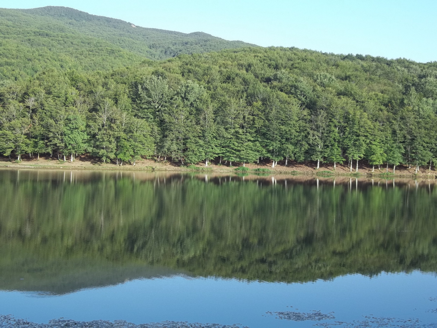 Cesarò, Nebrodi, lago Maulazzo e bosco