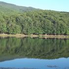 Cesarò, Nebrodi, lago Maulazzo e bosco