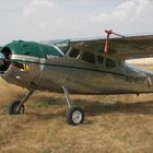 Cessna 195 (4)