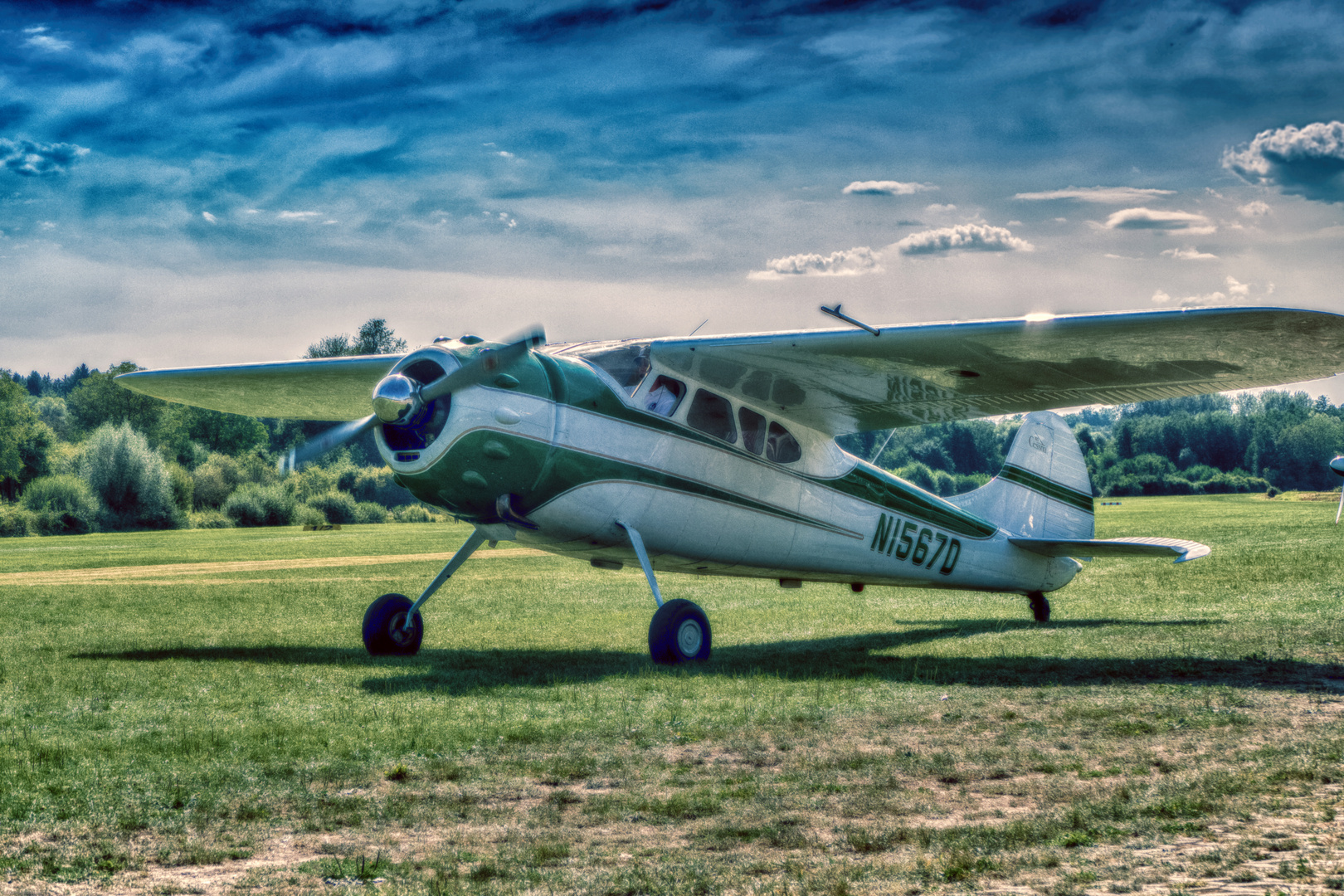 Cessna 195