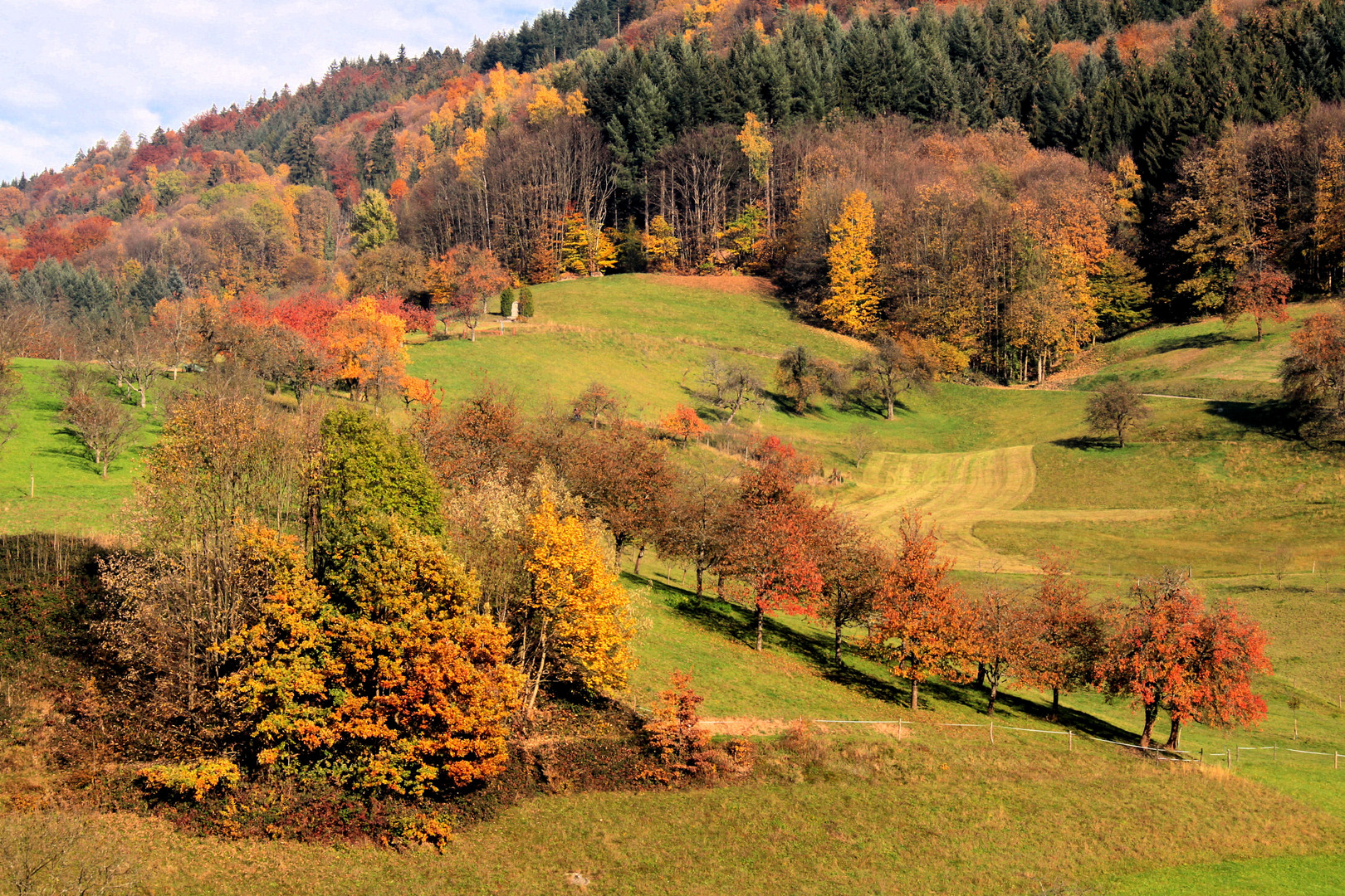 c'est bien l'automne!