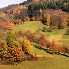 c'est bien l'automne!