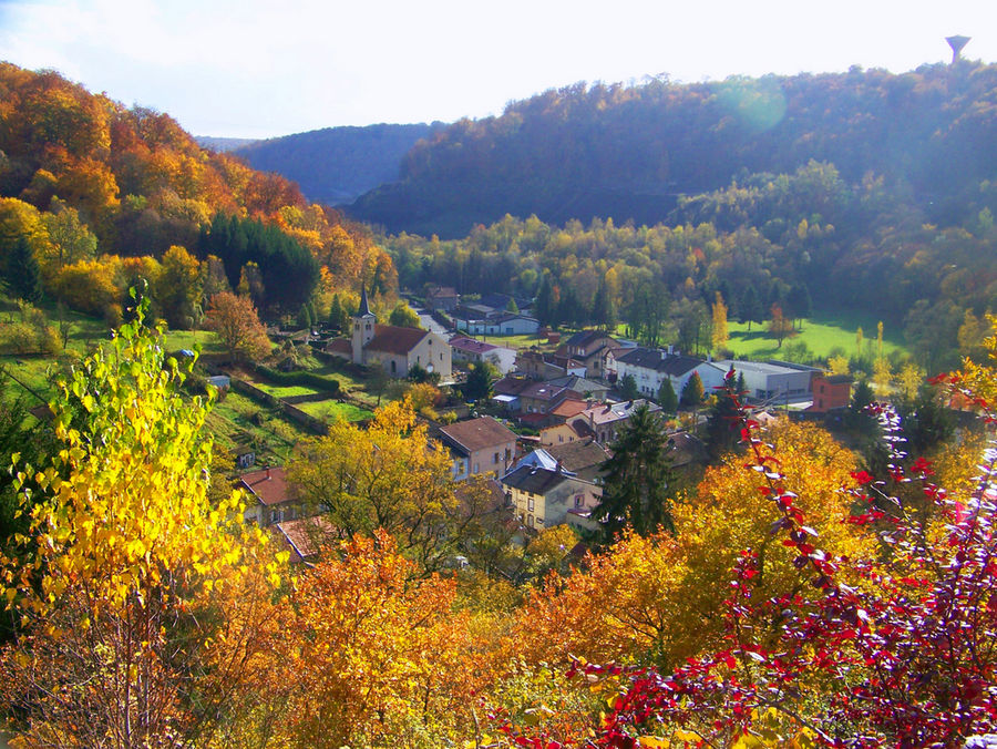 c'est chez moi, mon petit village en forêt