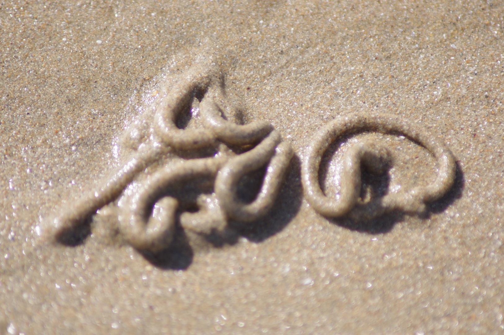 c'est écrit dans le sable ...