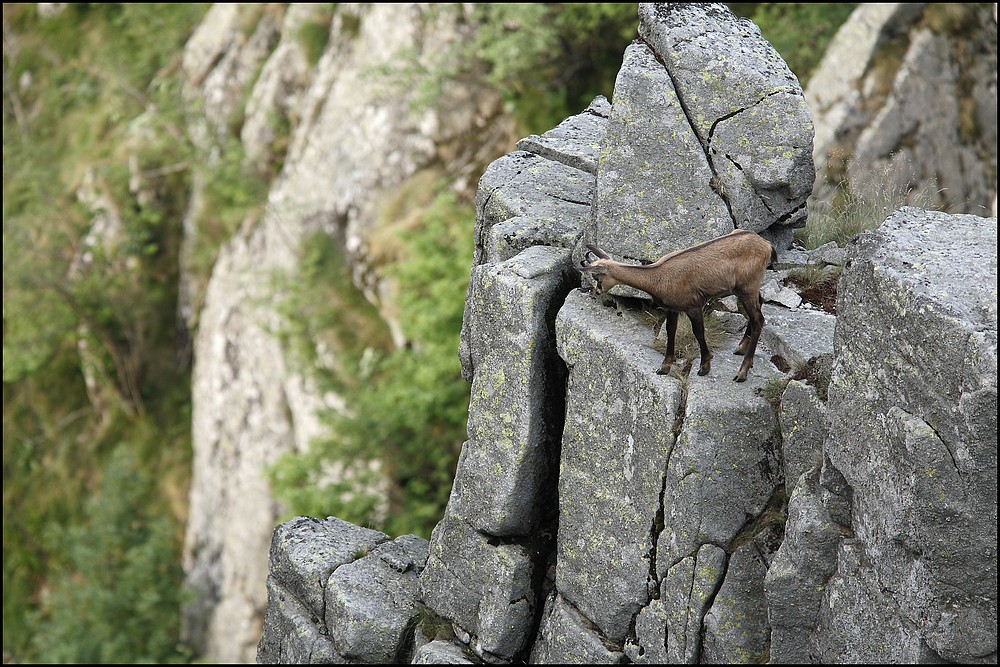 C'est haut !