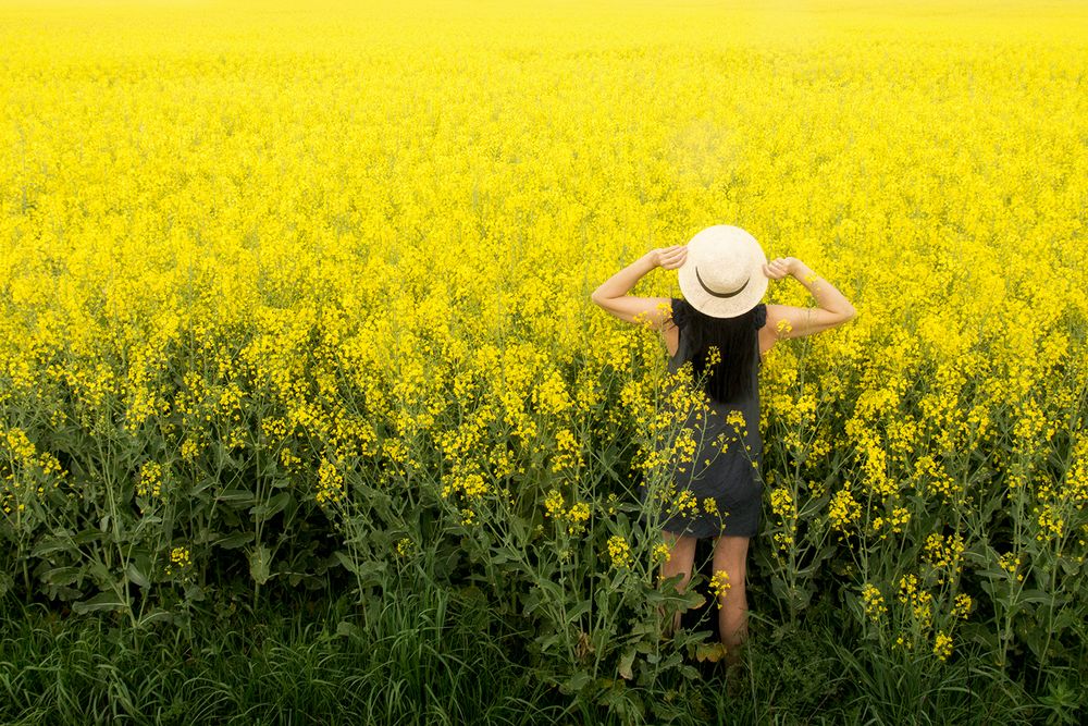 C'est jaune !