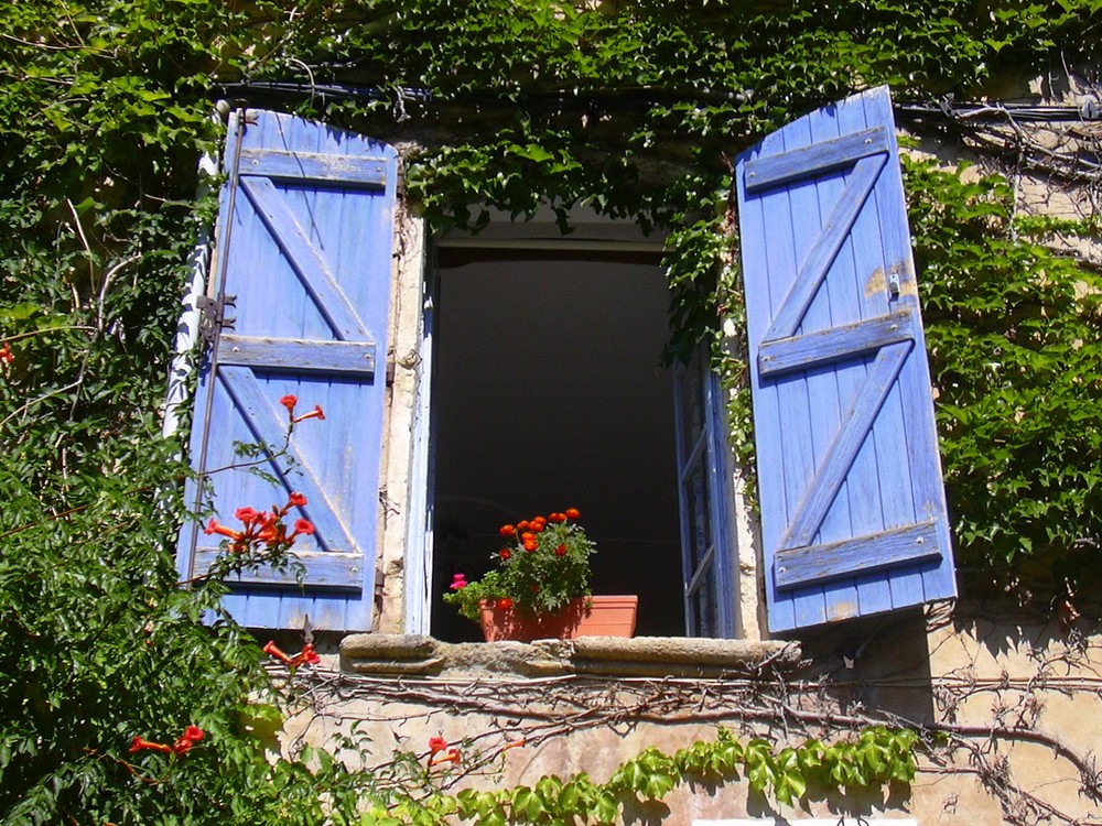 C'est la Provence ...