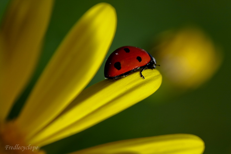 C'est le printemps!!!