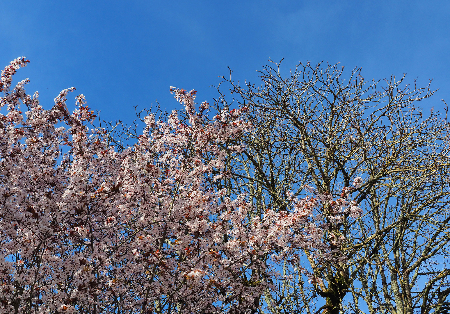 C’est le printemps, mais pas encore pour tout le monde