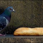 C'est l'heure du "casse-croûte" !!!!