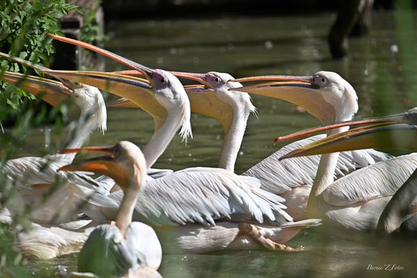 C'est l'heure du repas