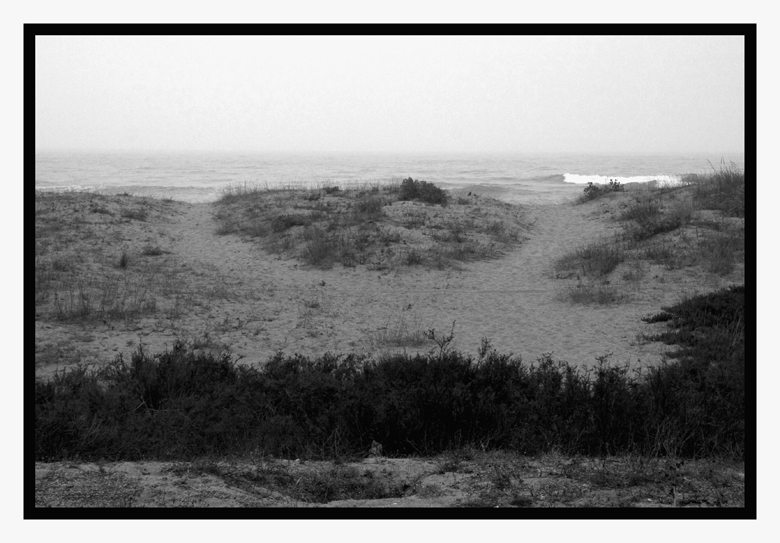 c'est l'histoire de deux chemins qui se séparent... se recroiseront ils  deriière la dune ?