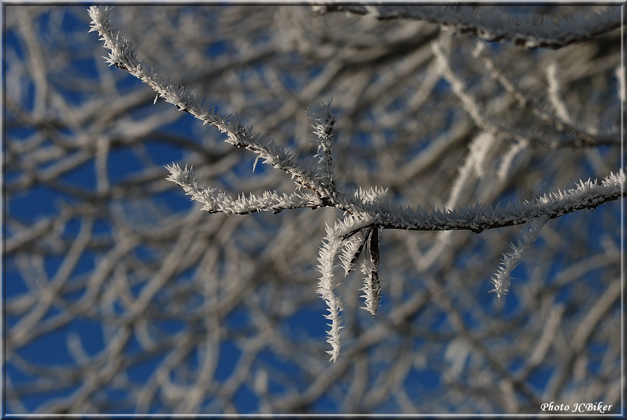 C'est l'hiver !