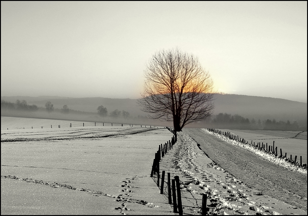 C'est l'hiver !!!