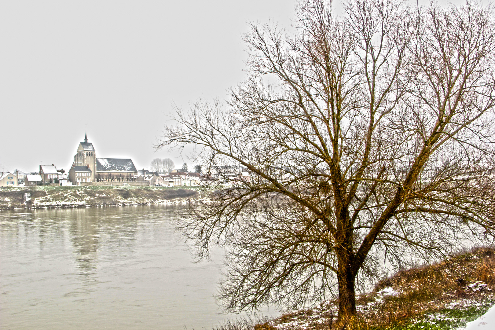 C'est l'hiver, les arbres sont en bois - au biord de la Loire