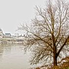 C'est l'hiver, les arbres sont en bois - au biord de la Loire